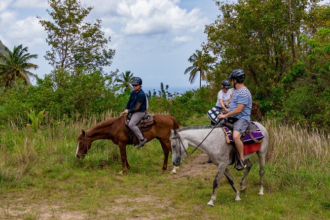 Horseback Riding in St. Lucia - Itinerary and Experience
