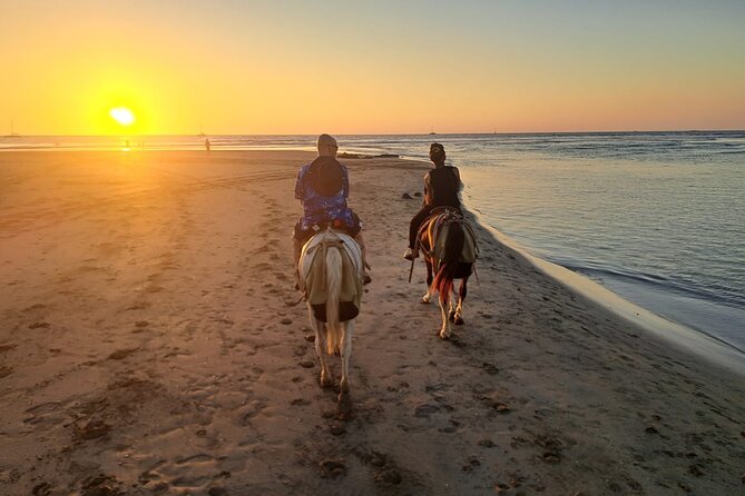 Horseback Riding in Tamarindo Beach - Customer Feedback Highlights