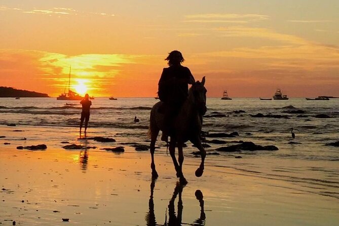 Horseback Riding in Tamarindo Beach - Pricing Considerations