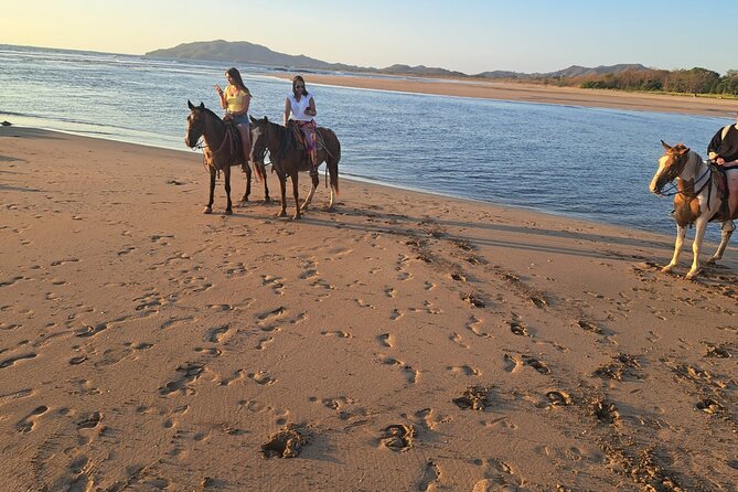 Horseback Riding in Tamarindo Beach - Professional Guide Insights