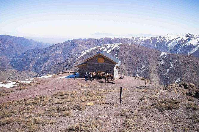 Horseback Riding in the Andes - Key Points