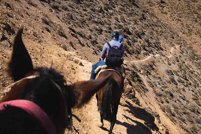 Horseback Riding in the Andes - Majestic Mountain Trails