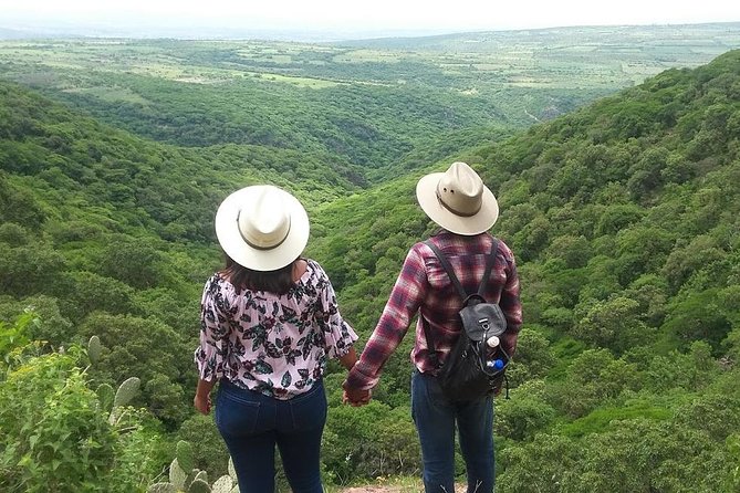 Horseback Riding in the Capulines - Booking Your Experience