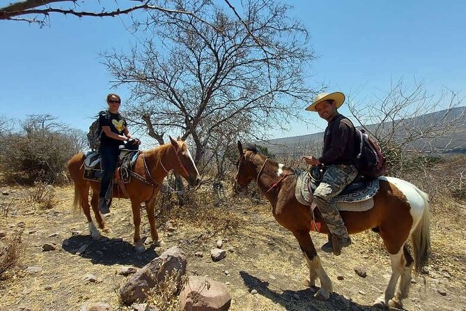Horseback Riding in the Capulines - Safety and Insurance Details