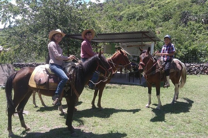 Horseback Riding in the Capulines - Tips for an Enjoyable Ride