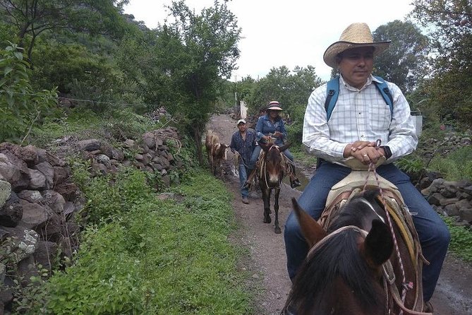 Horseback Riding in the Capulines - Frequently Asked Questions