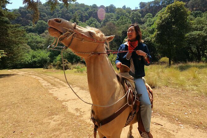 Horseback Riding in the Forest and Breakfast in Cabin - Key Points