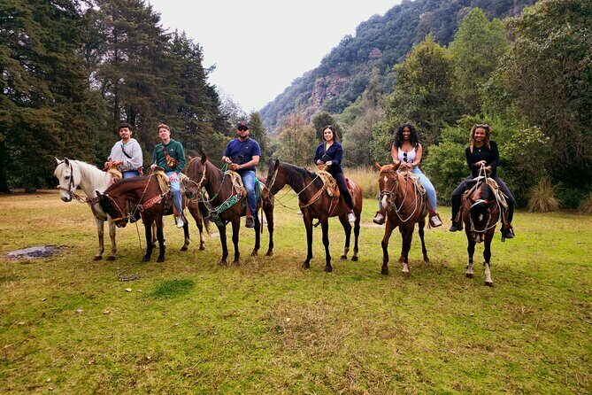 Horseback Riding in the Forest and Breakfast in Cabin - Authentic Experience & Genuine Reviews