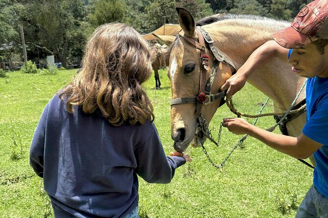 Horseback Riding in the Forest and Breakfast in Cabin - Who Would Love This Tour?