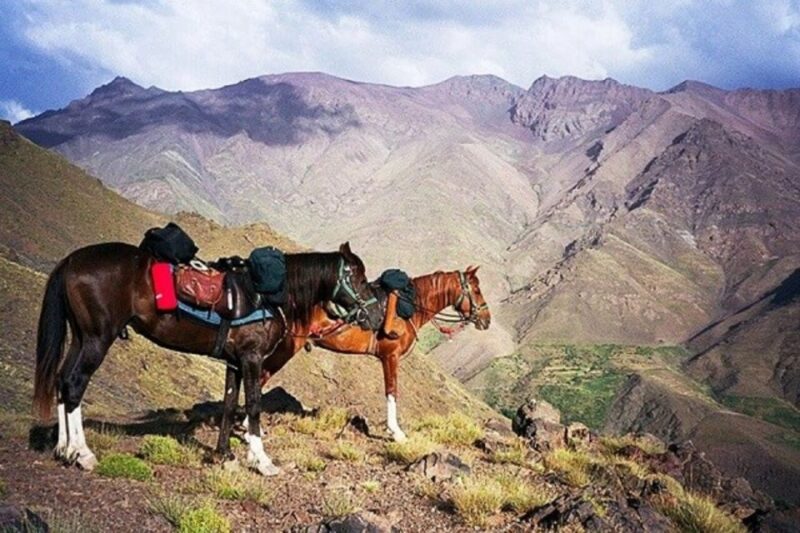 Horseback Riding in the High Atlas Mountains With Overnight - Itinerary Highlights