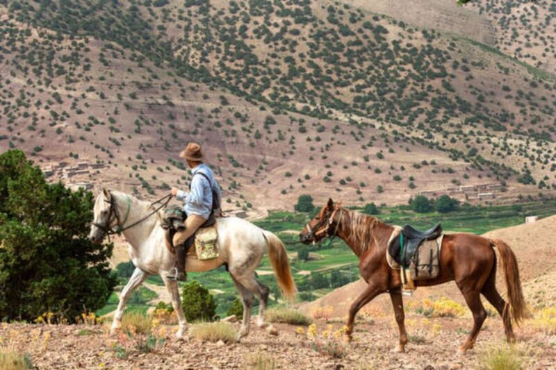 Horseback Riding in the High Atlas Mountains With Overnight - Cultural Experience