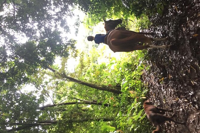 Horseback Riding in the Jungle Near Panama City - Tour Details and Inclusions