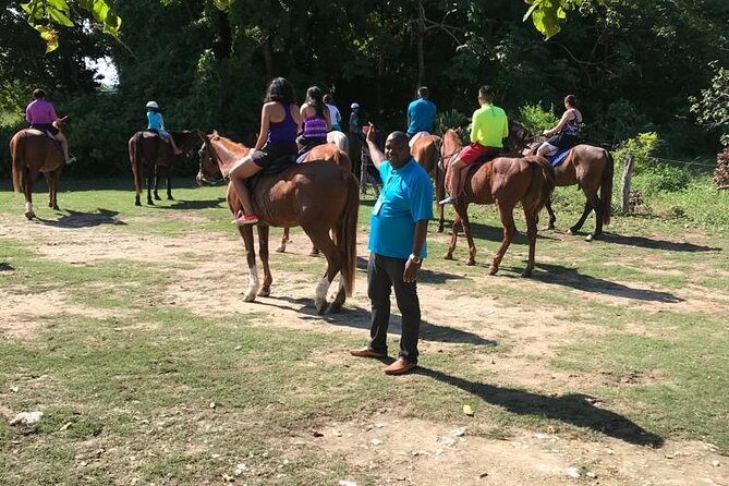Horseback Riding in the Ocean & Bamboo Rafting From Ocho Rios - Participation Requirements