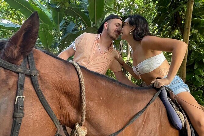 Horseback Riding In The Ocean from Montego Bay Private Transfer - The Sum Up: Is It Worth It?