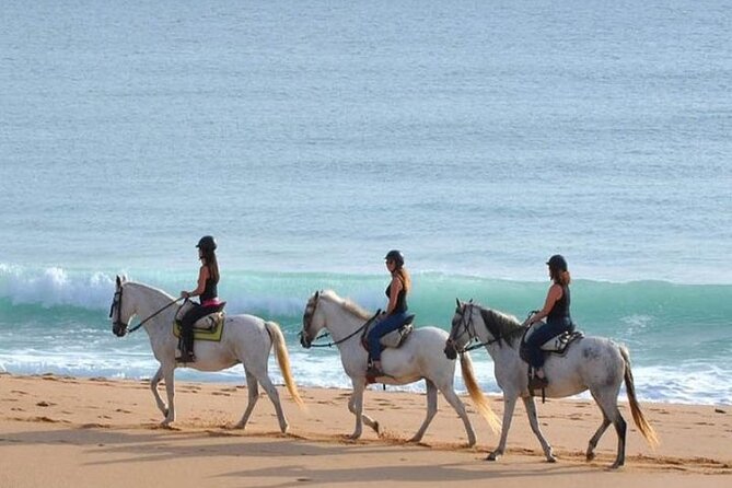 Horseback Riding in the Sunset of Famara Beach, Lanzarote, Spain - Personalized and Intimate Group Size