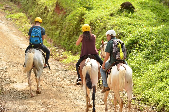 Horseback Riding Jaco - Horseback Riding Experience