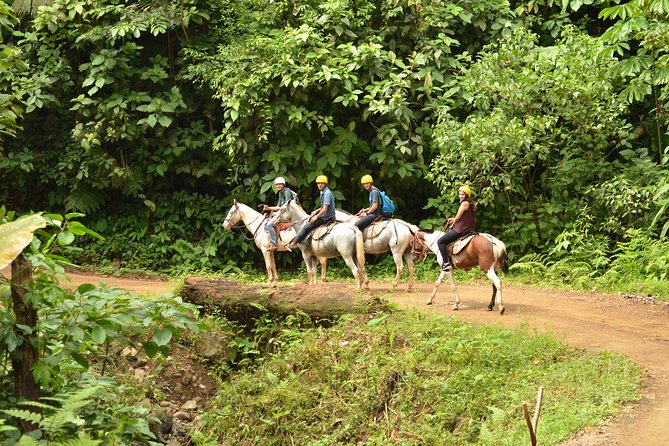 Horseback Riding Jaco - Wildlife Sightings in the Rainforest