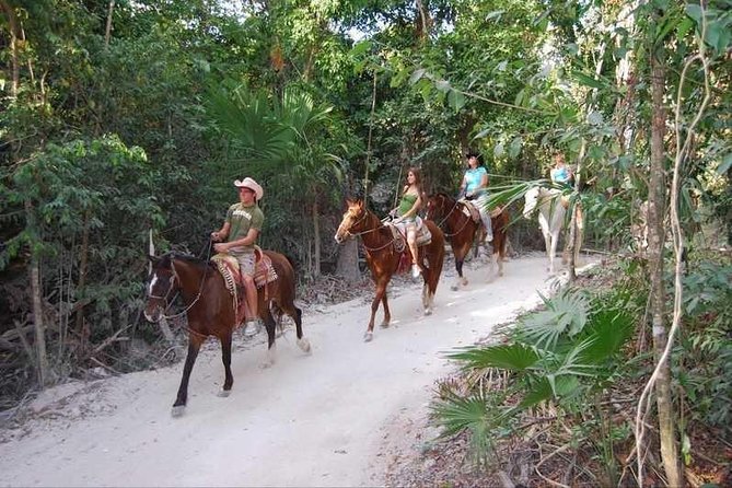 Horseback Riding Jaco Beach - Participant Requirements