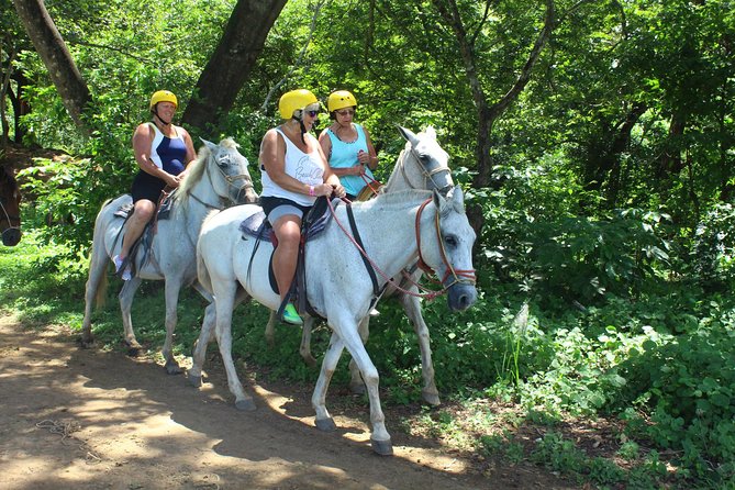 Horseback Riding Jungle and Beach in Playa Flamingo - Customer Feedback and Ratings