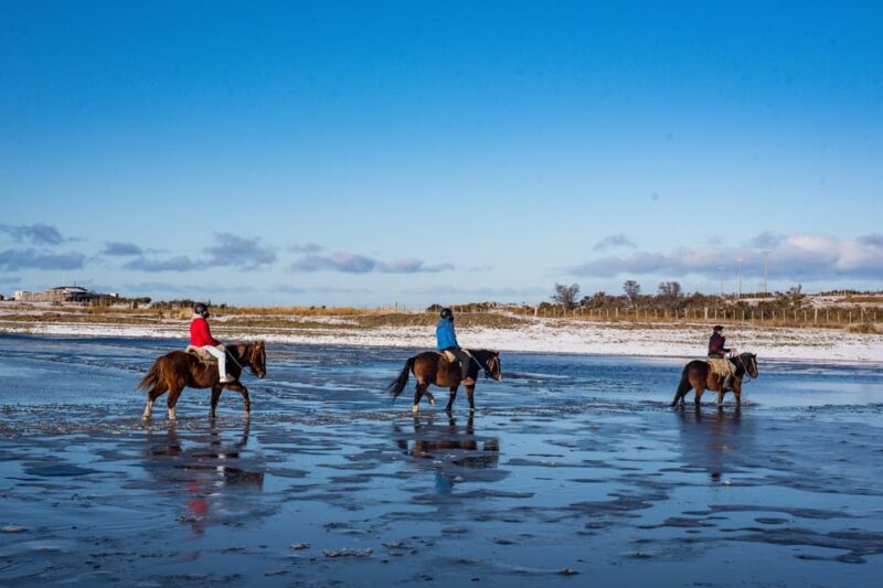 Horseback Riding Near Strait of Magellan - Inclusions and Requirements