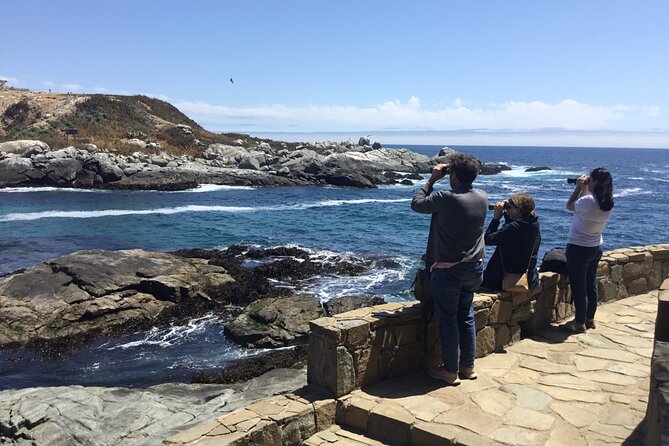 Horseback Riding on Beach, Winery, Alpacas, Penguins & Cowboybbq - Savory Cowboy BBQ Experience