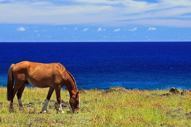 Horseback Riding on Easter Island - Cultural Insights and Ceremonial Centers