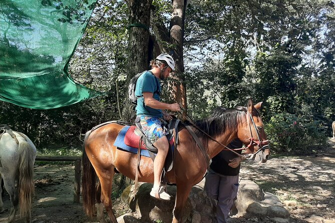 Horseback Riding on the Beach - Pricing and Reviews