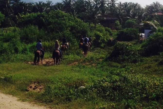 Horseback Riding on the Beach and Through a Coconut Plantation - Key Points