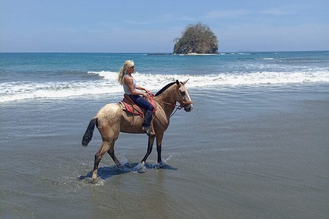 Horseback Riding on the Beach and Trails 2 Hours - Key Points