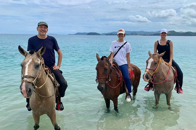 Horseback Riding on the Beach and Trails 2 Hours - Meeting and Pickup