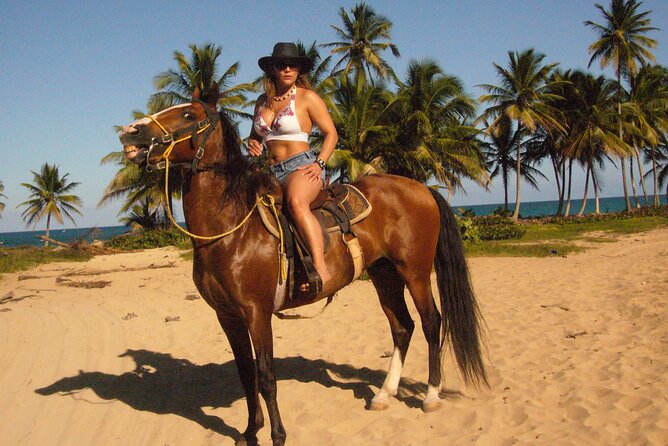 Horseback Riding on the Beach Free Transportation - Riding Details