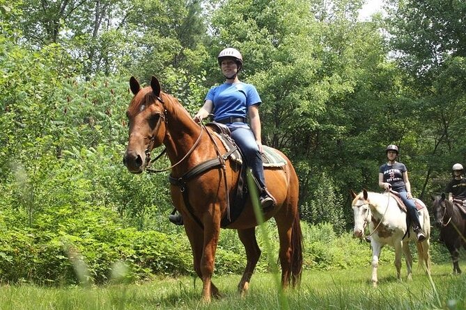 Horseback Riding on the Beach Free Transportation - Health Restrictions