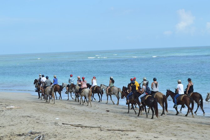 Horseback Riding on the Beach Free Transportation - Getting to the Tour