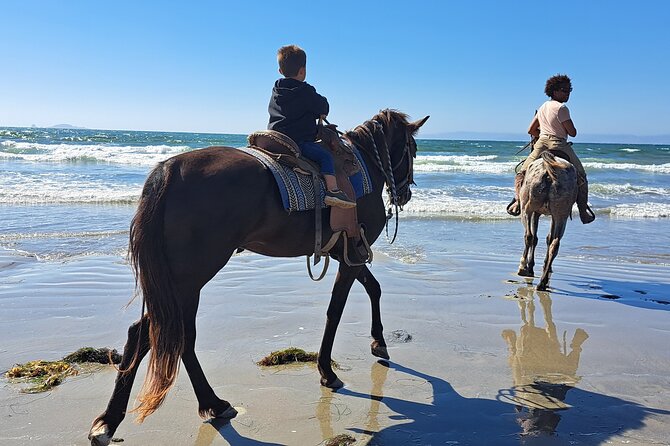 Horseback Riding on the Beach From Ensenada - Meeting and Pickup Details