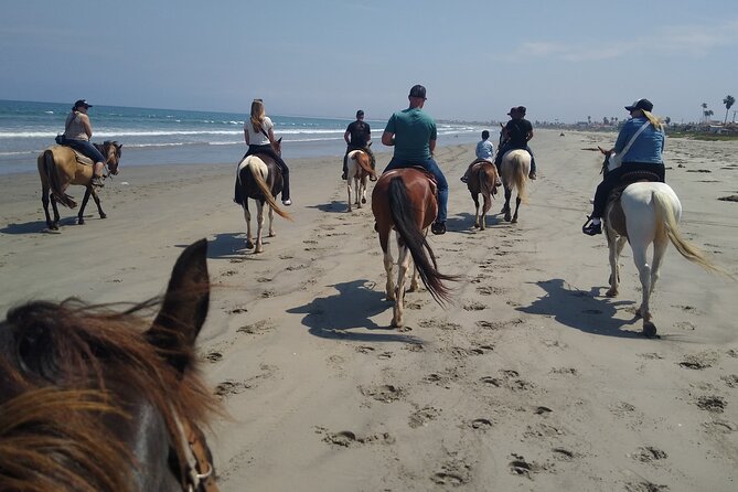 Horseback Riding on the Beach From Ensenada - Horse and Rider Suitability