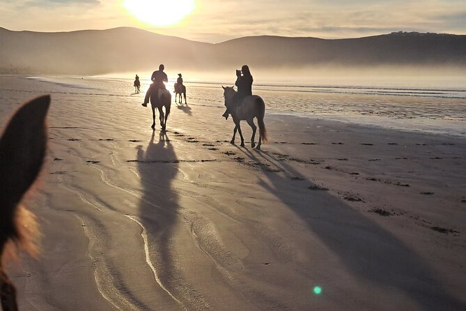 Horseback Riding on the Beach From Ensenada - Accessibility and Participation
