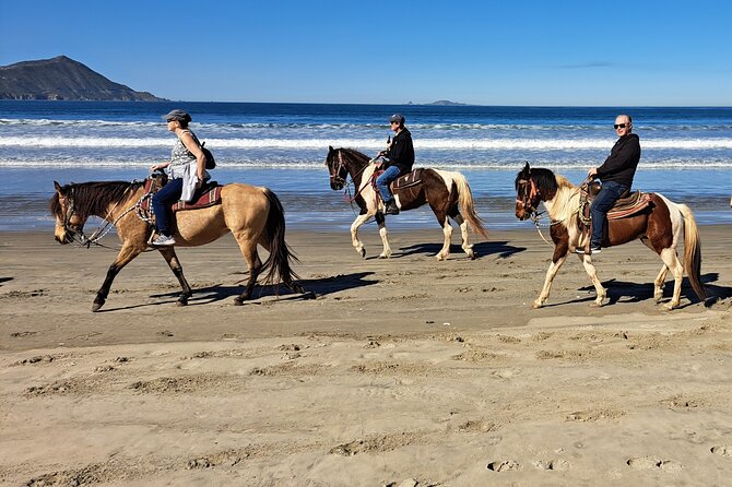 Horseback Riding on the Beach From Ensenada - Booking and Pricing Information