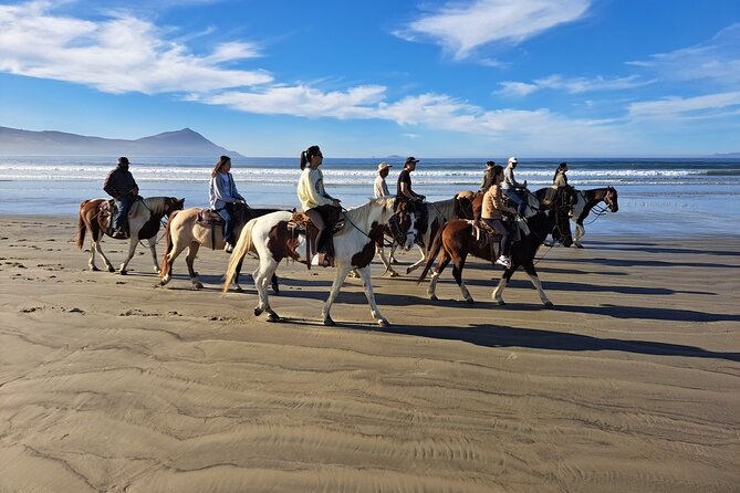 Horseback Riding on the Beach From Ensenada - Reviews and Ratings