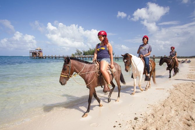 Horseback Riding on the Beach in Punta Cana (One Hour) - Included Offerings