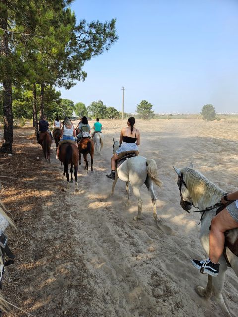 Horseback Riding on the Beach - PDT - Safety Considerations