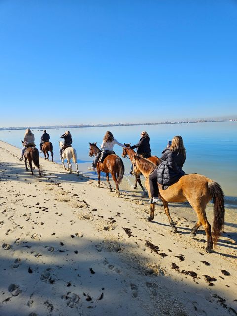 Horseback Riding on the Beach - PDT - Frequently Asked Questions