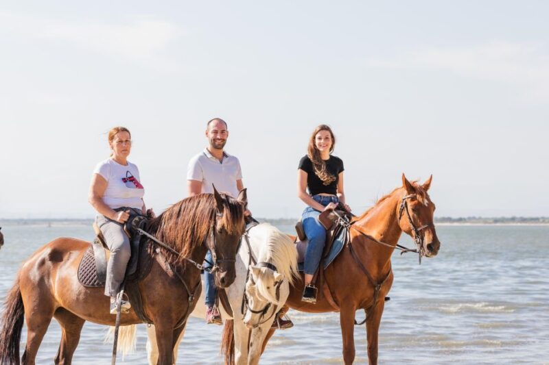 Horseback Riding on the Beach - PDT - Key Points
