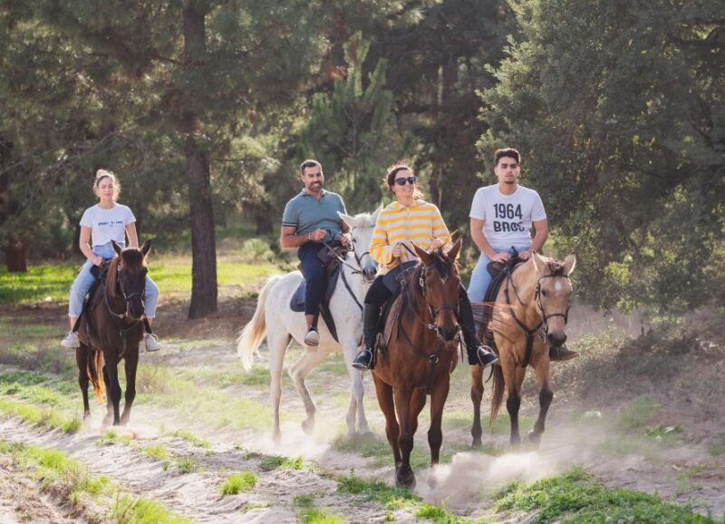 Horseback Riding on the Beach - PDT - Experience Details