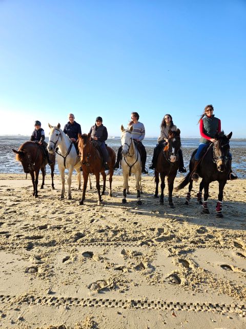 Horseback Riding on the Beach - PDT - Participant Requirements
