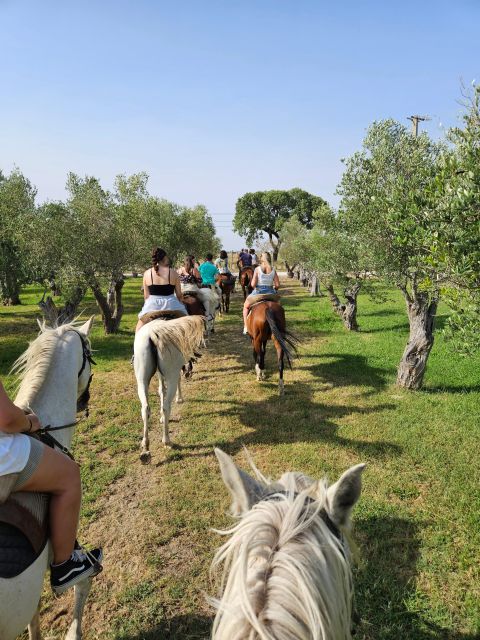 Horseback Riding on the Beach - PDT - Customer Feedback
