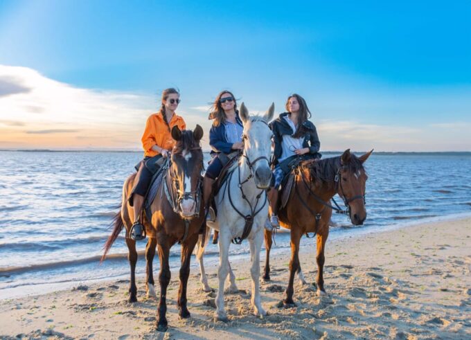 Horseback Riding on the Beach +Tapas + Photo Report - PDT - Accommodation Options