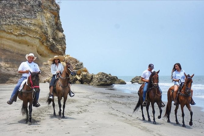 Horseback Riding on the Beach With Paso Colombiano Show,Cartagena - Key Points
