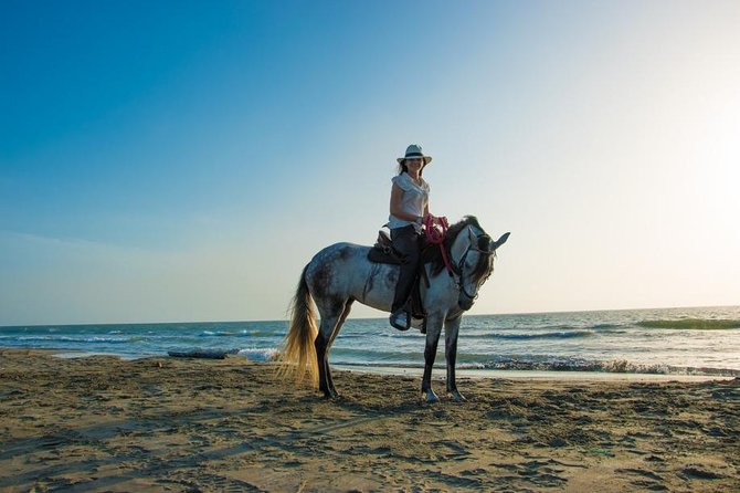 Horseback Riding on the Beach With Paso Colombiano Show,Cartagena - Paso Fino Horses: Colombias Pride