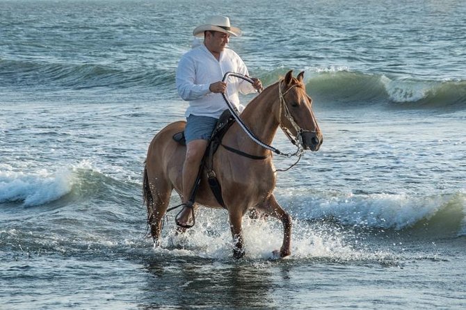 Horseback Riding on the Beach With Paso Colombiano Show,Cartagena - Scenic Coastal Riding Experience