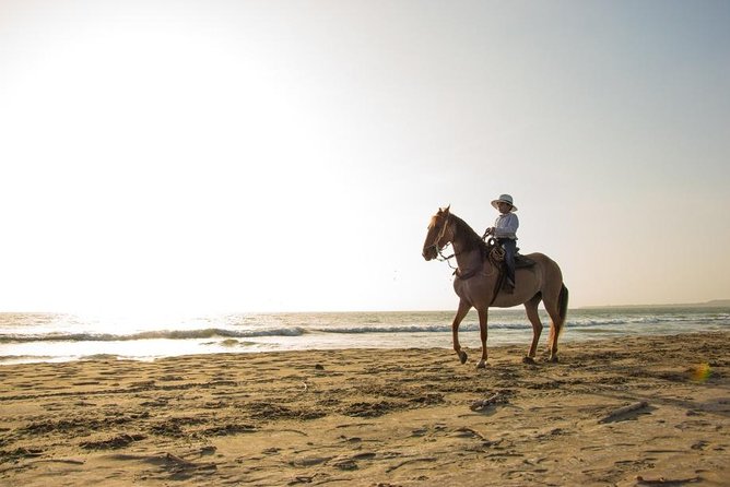 Horseback Riding on the Beach With Paso Colombiano Show,Cartagena - Immersive Ranch Visit and Demonstration